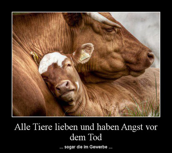 best of demotivators