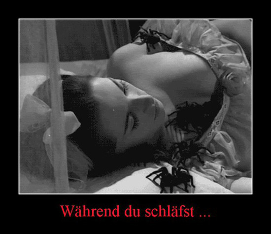 best of demotivators