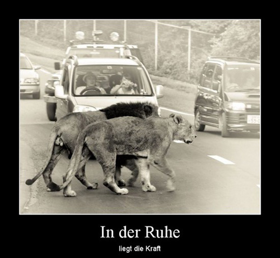 best of demotivators