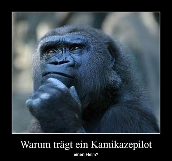 best of demotivators