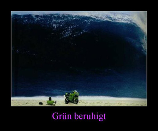 best of demotivators