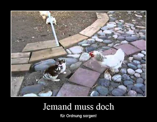 best of demotivators