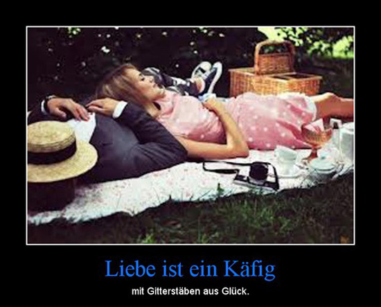 best of demotivators