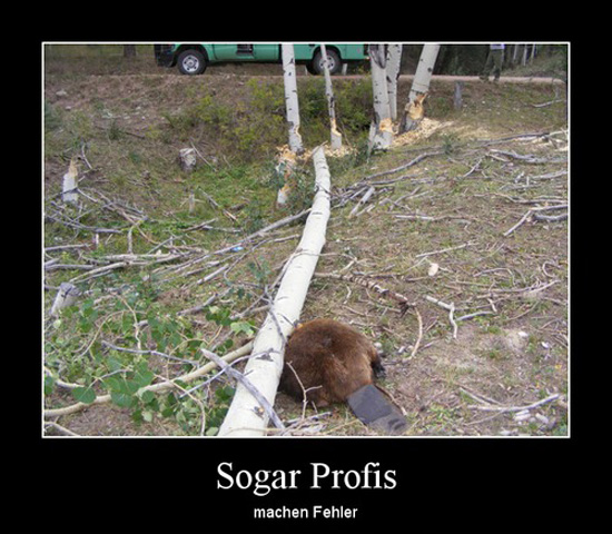 best of demotivators