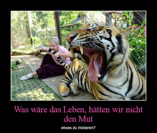 best of demotivators