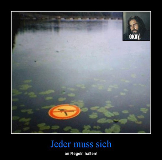 best of demotivators