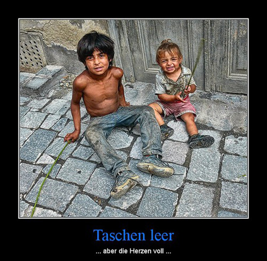 best of demotivators