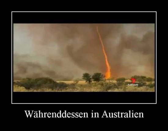 best of demotivators