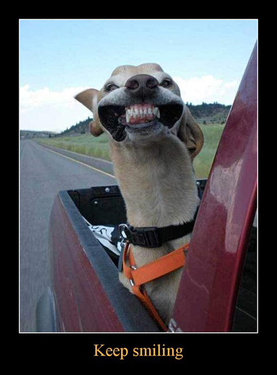 best of demotivators