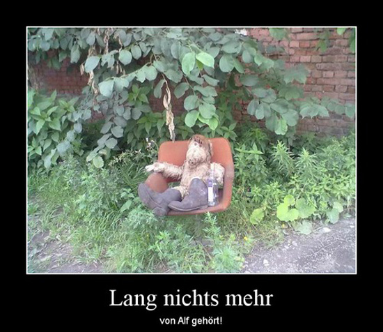 best of demotivators