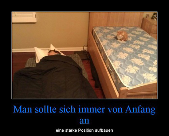 best of demotivators