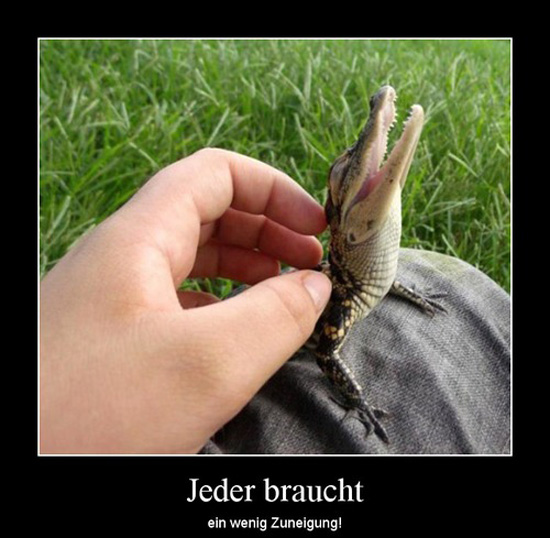 best of demotivators