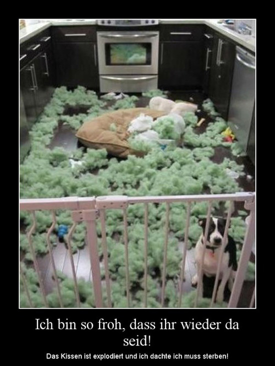 best of demotivators
