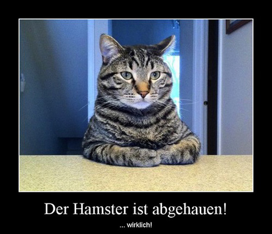 best of demotivators