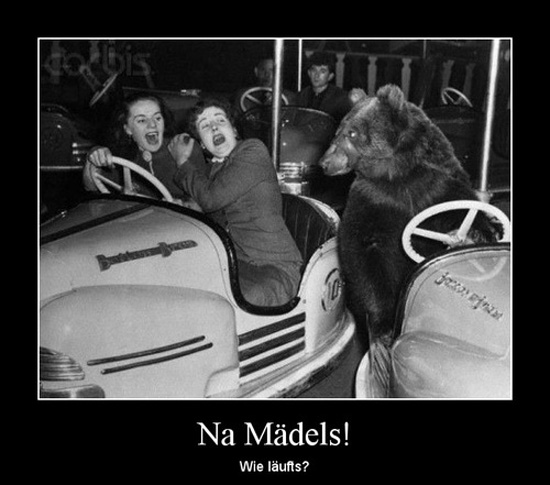best of demotivators