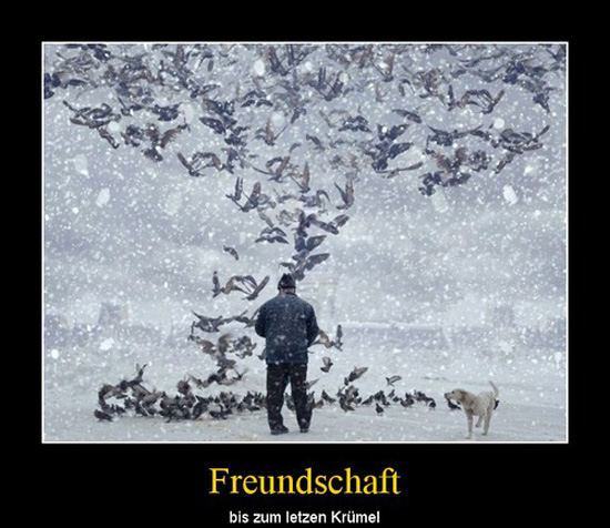 best of demotivators