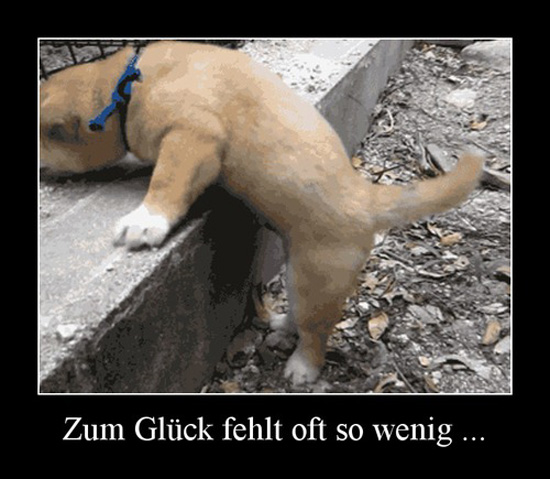 best of demotivators