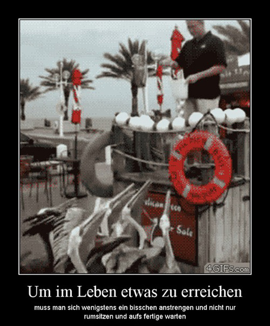 best of demotivators