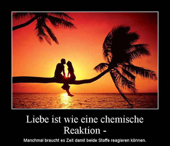 best of demotivators