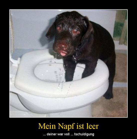 best of demotivators