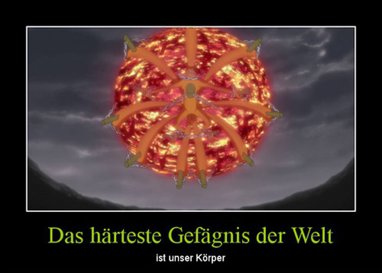 best of demotivators