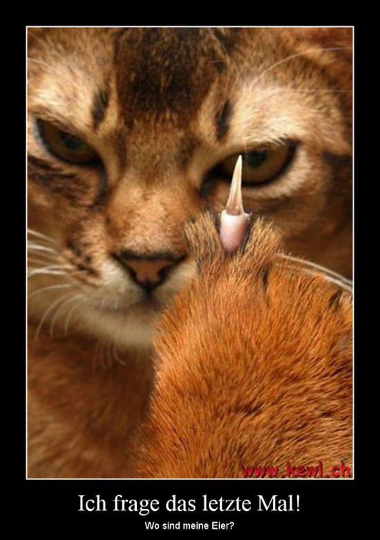 best of demotivators
