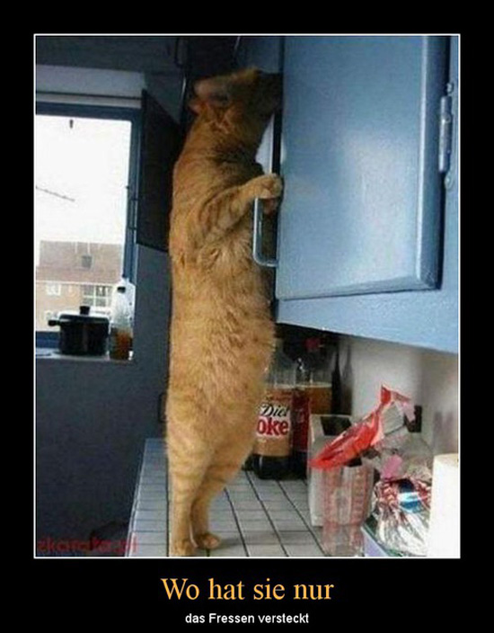 best of demotivators