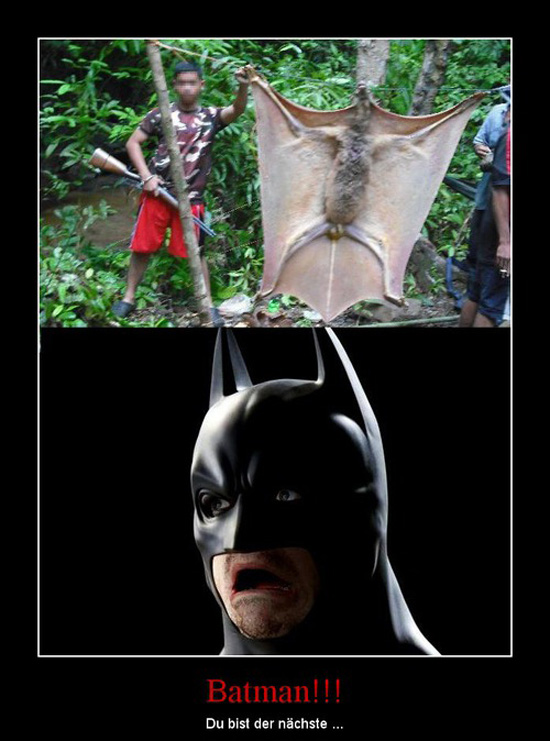 best of demotivators