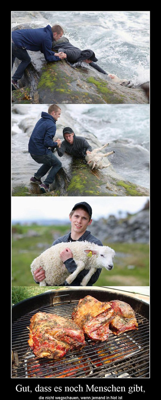 best of demotivators