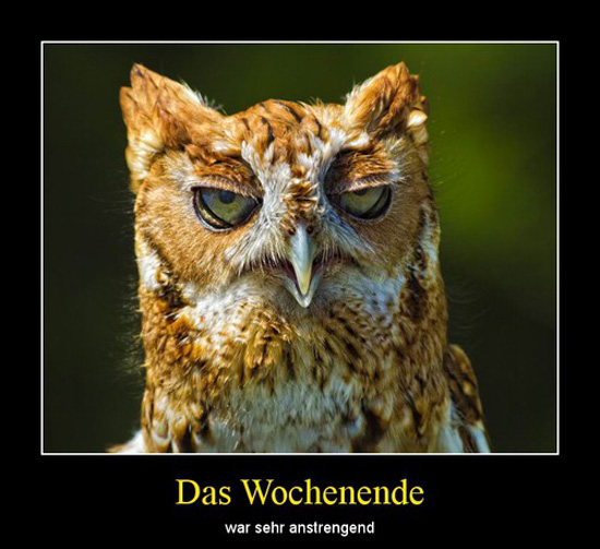 best of demotivators