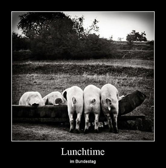 best of demotivators
