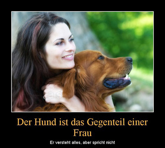 best of demotivators