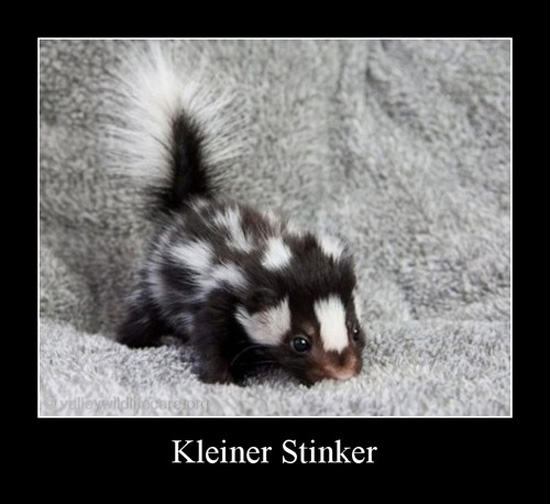 best of demotivators