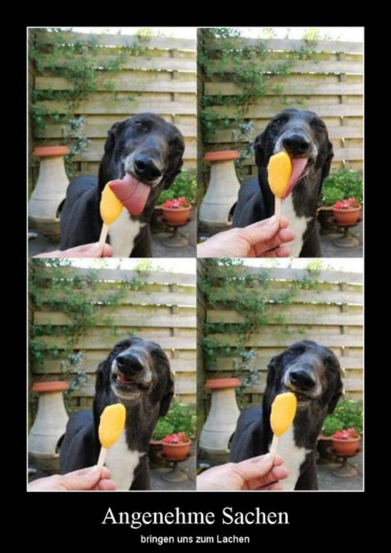 best of demotivators