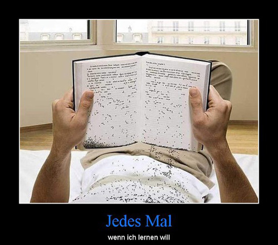 best of demotivators