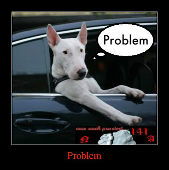 best of demotivators