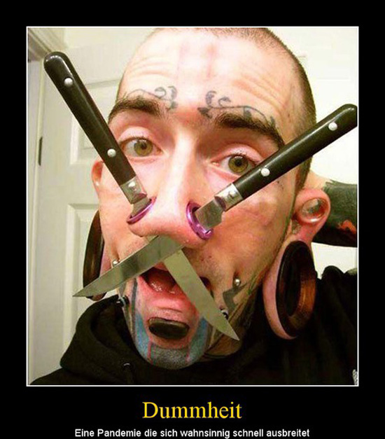 best of demotivators