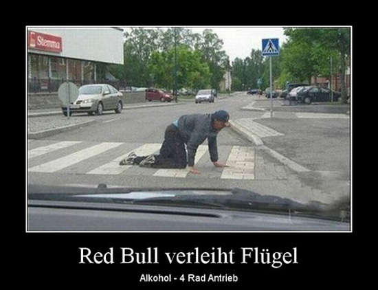 best of demotivators