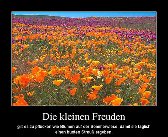 best of demotivators