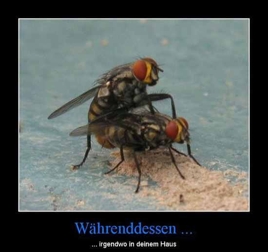 best of demotivators