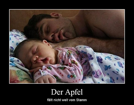 best of demotivators