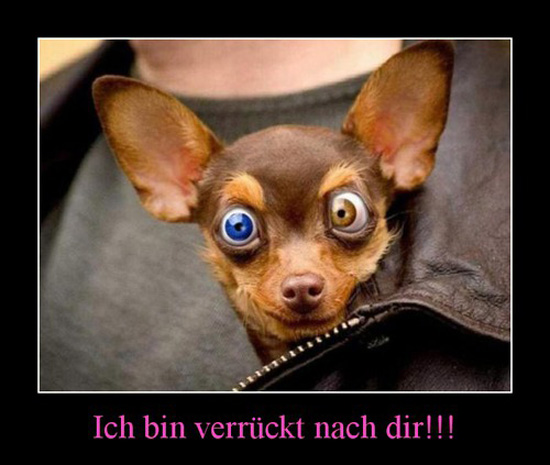 best of demotivators