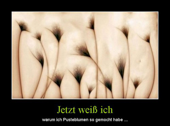 best of demotivators