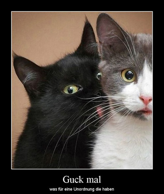 best of demotivators