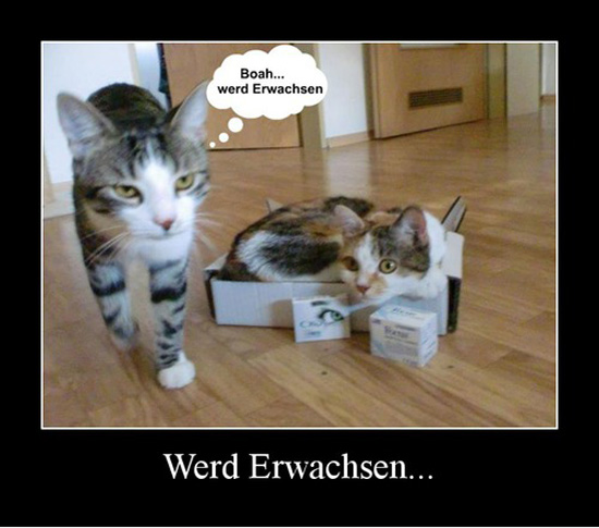 best of demotivators