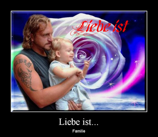 best of demotivators