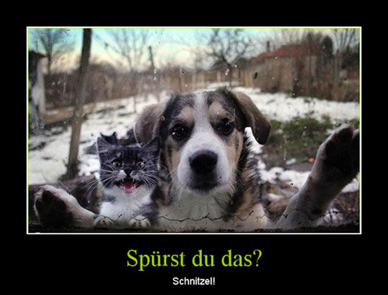 best of demotivators