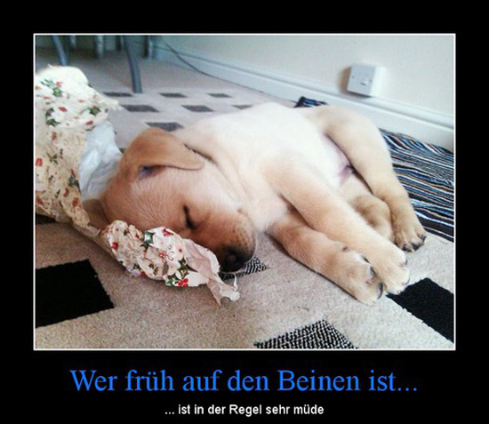 best of demotivators