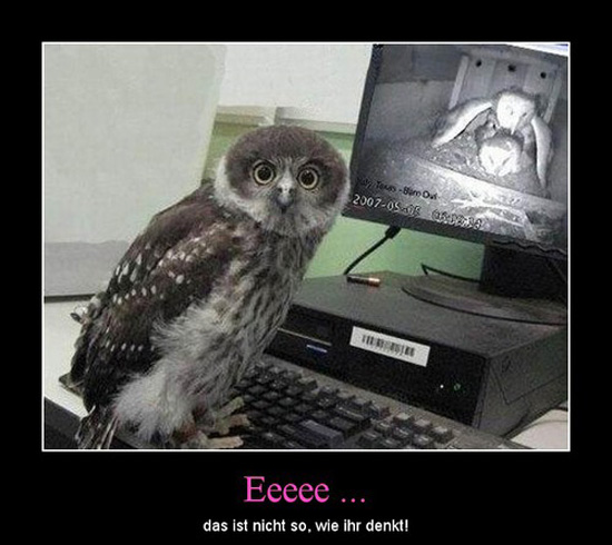 best of demotivators