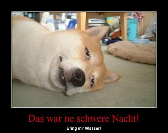 best of demotivators